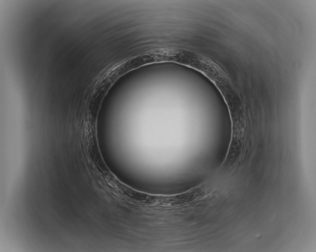 X0000113780773200909231315