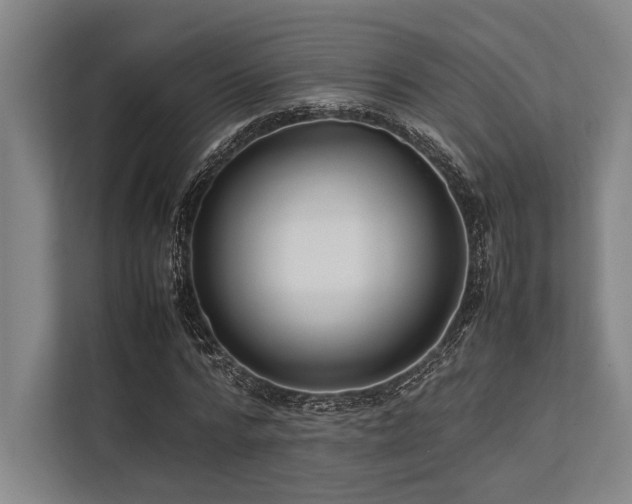X0000113780776200909231315