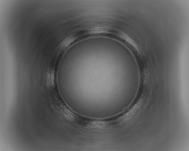 X0000113780777200909231315