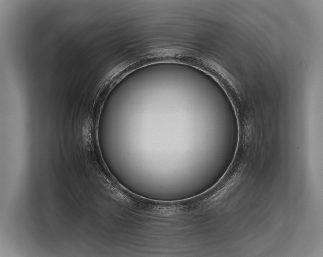 X0000113780778200909231315