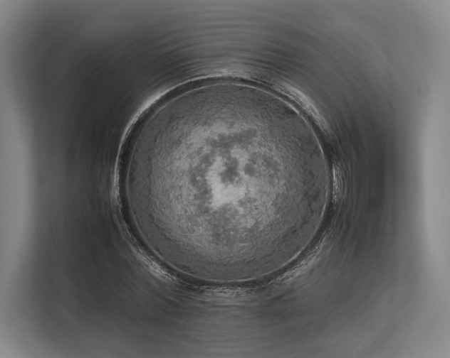 X0000113780780200909231315
