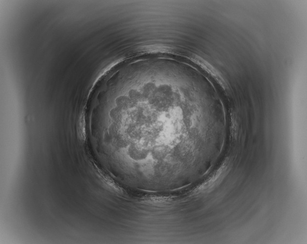 X0000113780782200909231314