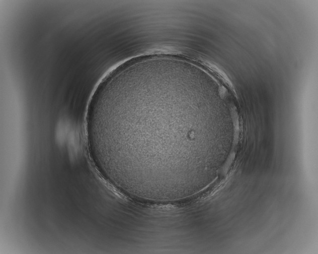 X0000113780784200909231314