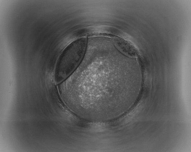X0000113780785200909231314