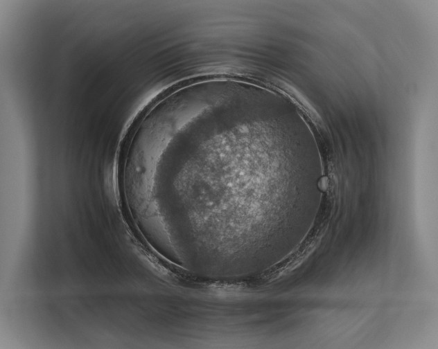 X0000113780788200909231314