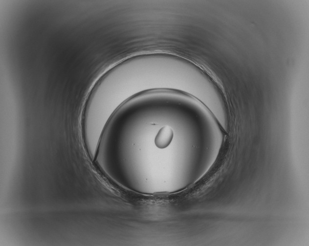 X0000113780789200909231314