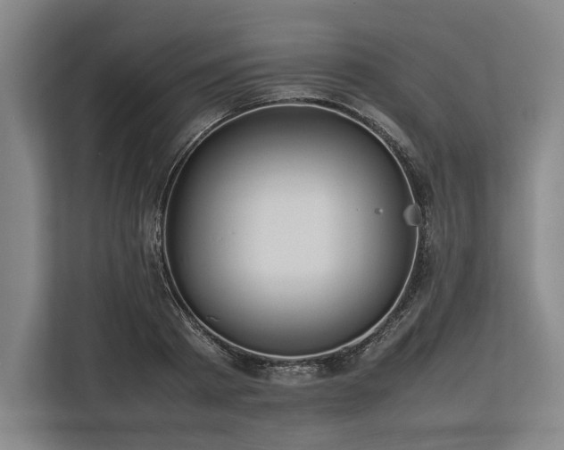 X0000113780793200909231314