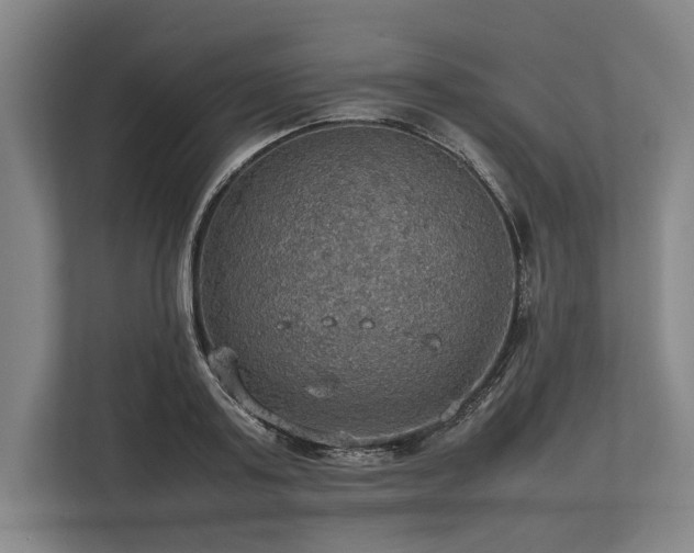 X0000113780795200909231314