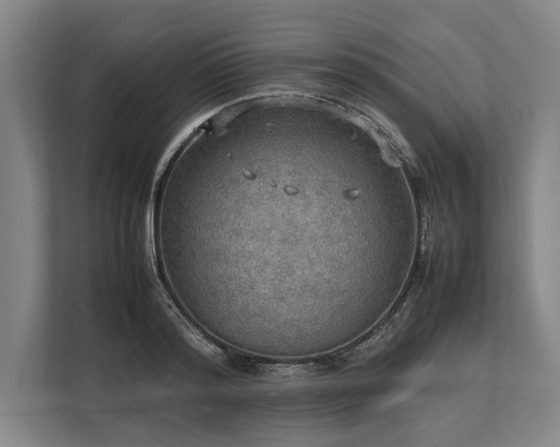 X0000113780796200909231314