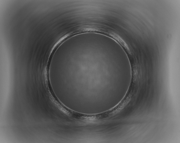 X0000113780798200909231314