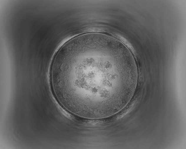 X0000113780803200909231314