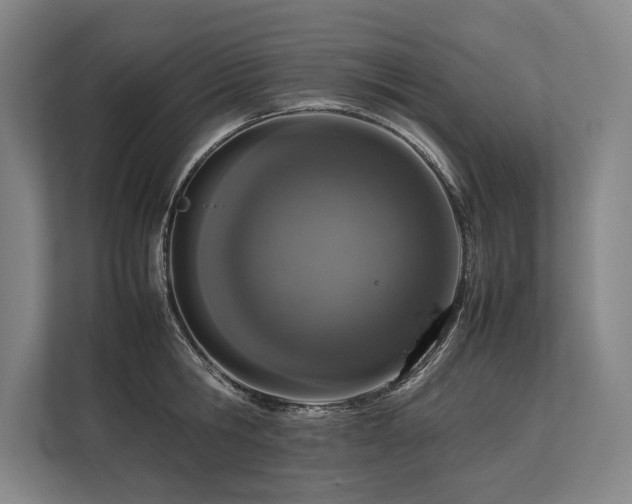 X0000113780806200909231314