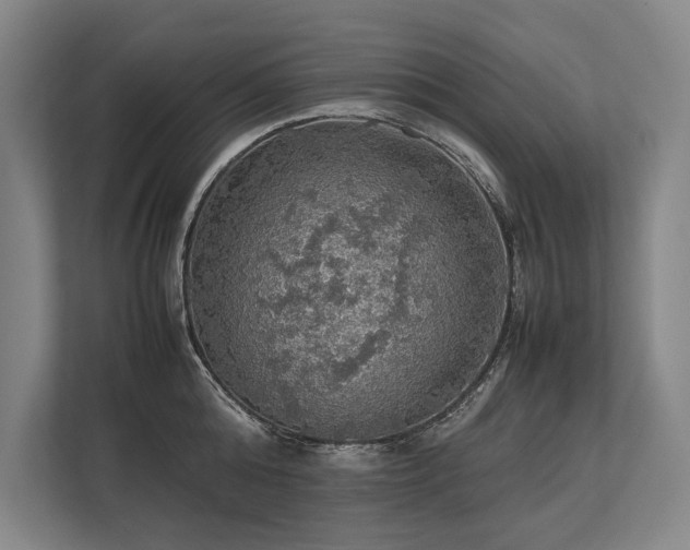 X0000113780808200909231314