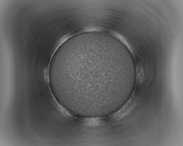 X0000113780810200909231314