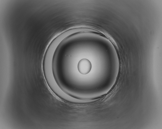 X0000113780813200909231314