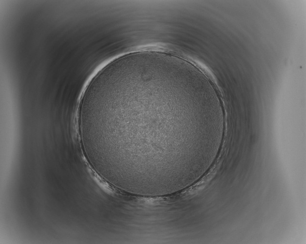 X0000113780816200909231314
