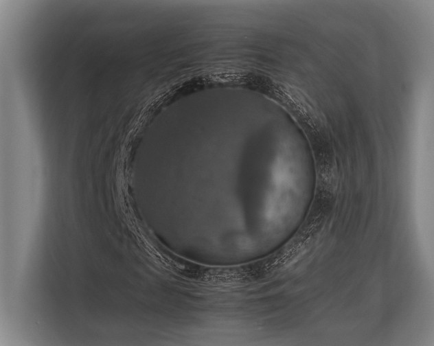 X0000113780817200909231313