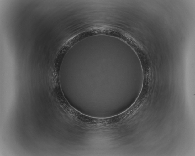 X0000113780822200909231313