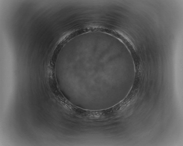 X0000113780823200909231313