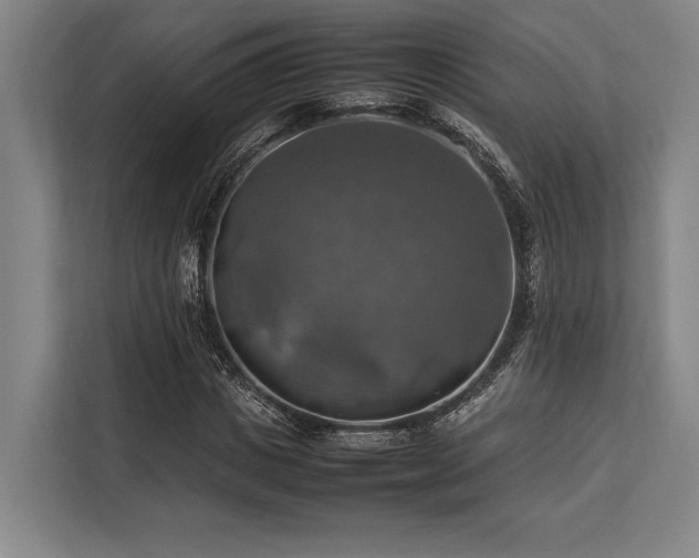 X0000113780825200909231313