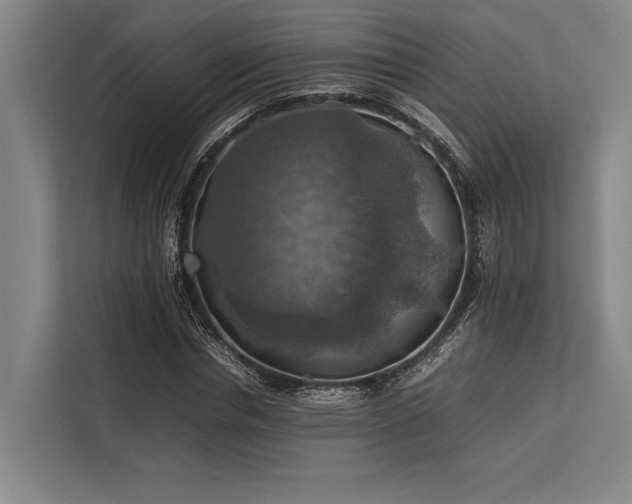 X0000113780826200909231313