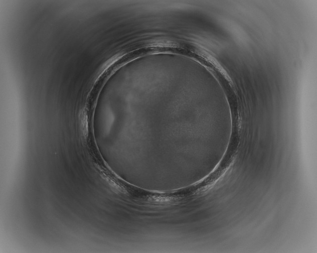 X0000113780829200909231313