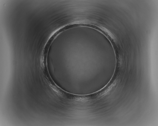X0000113780830200909231313