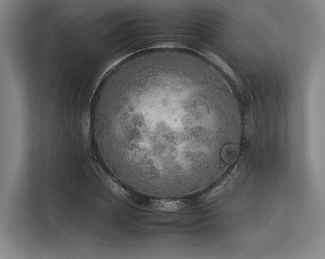 X0000113780831200909231313