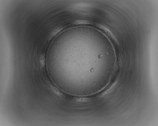 X0000113780833200909231313