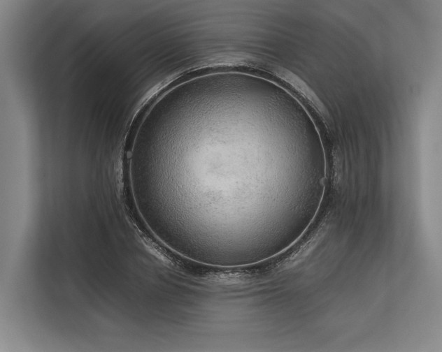 X0000113780834200909231313