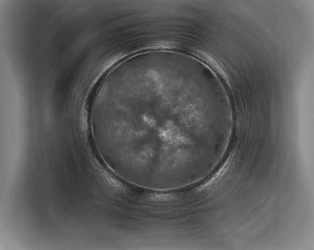 X0000113780835200909231313