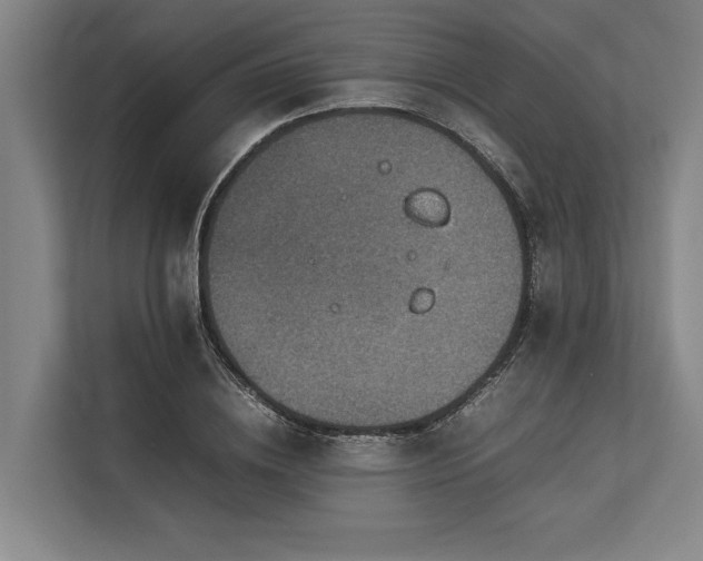 X0000113780836200909231313
