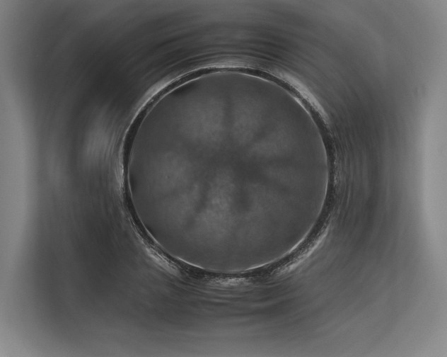 X0000113780837200909231313