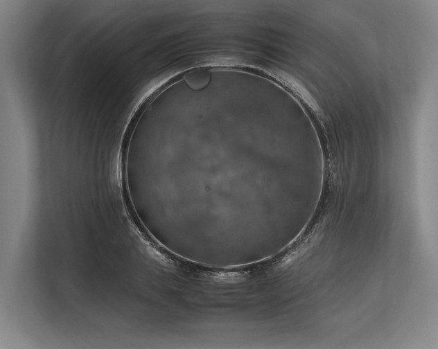 X0000113780839200909231314