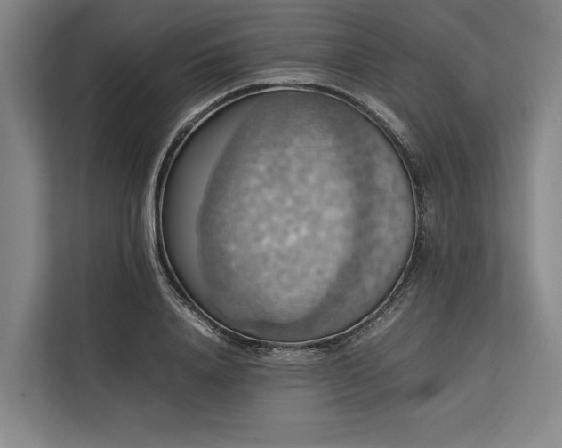 X0000113780840200909231314