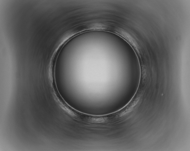 X0000113780843200909231314