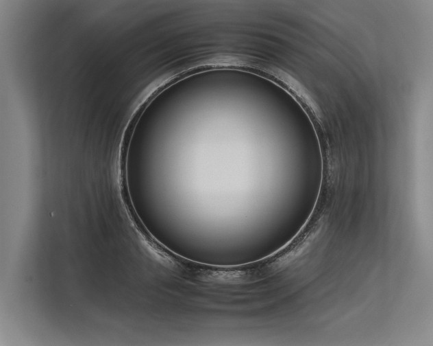 X0000113780845200909231314