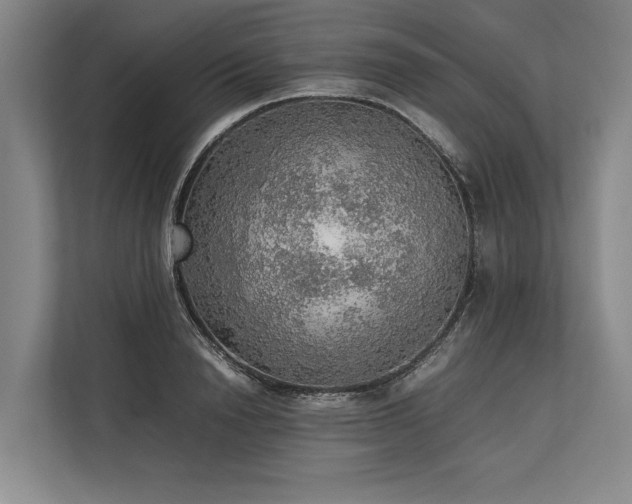 X0000113780846200909231314