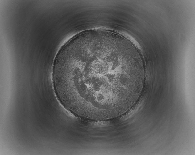 X0000113780847200909231314