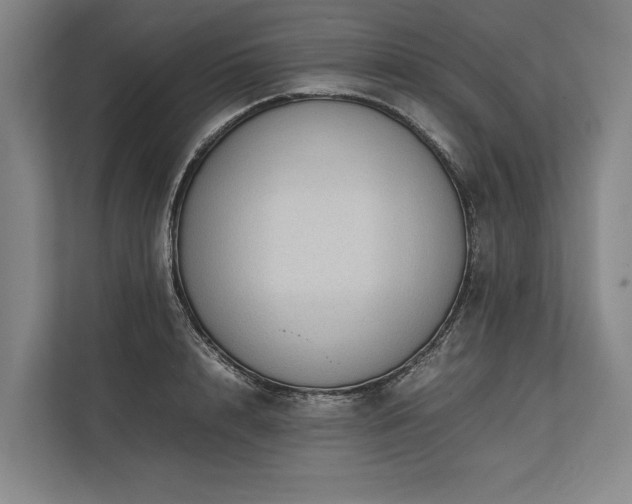 X0000113780848200909231314