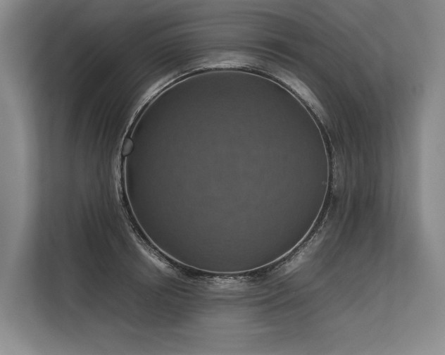 X0000113780850200909231314