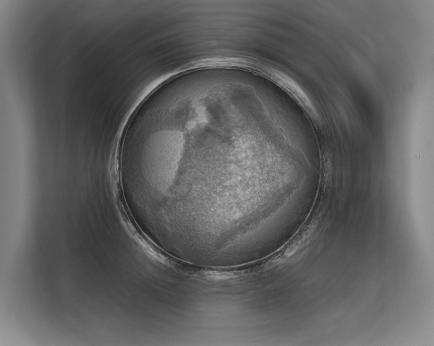 X0000113780852200909231314