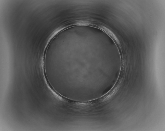 X0000113780855200909231314