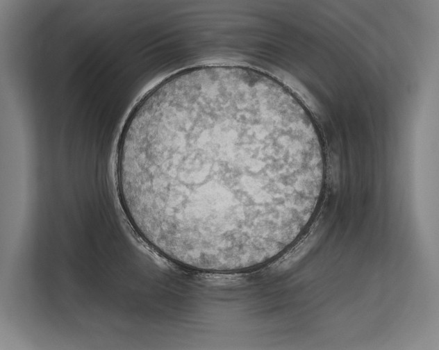 X0000113780856200909231314