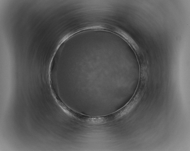 X0000113780858200909231314