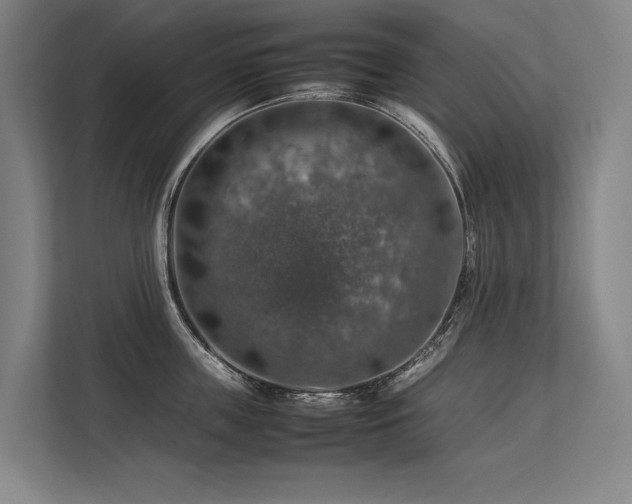 X0000113780859200909231314