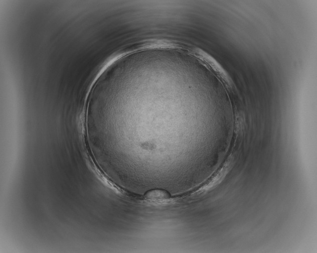 X0000113780860200909231314