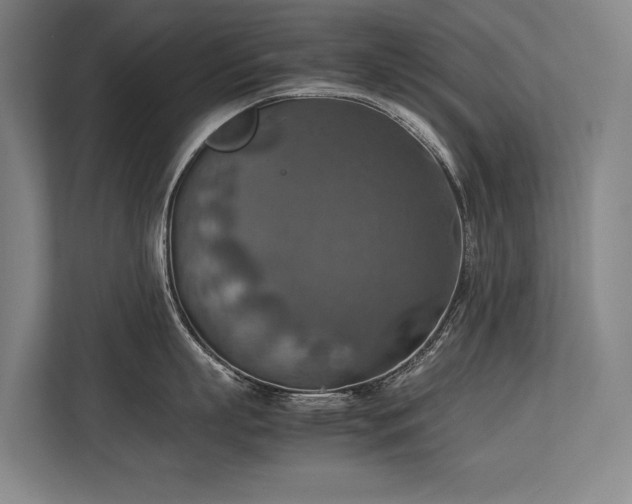 X0000113780863200909231314