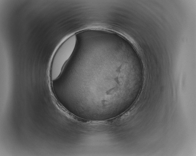 X0000113780864200909231314