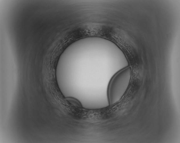 X0000113780865200909231313
